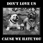Don't love us cause we hate you - brachiale HC 7