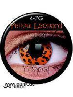 Concact lense:  yellow loepard