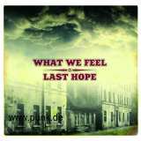 What We Feel / Last Hope: What We Feel / Last Hope - Split-CD