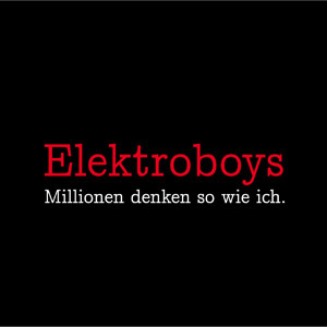 Elektroboys: Millionen denken so wie ich.