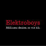 Elektroboys: Millionen denken so wie ich.